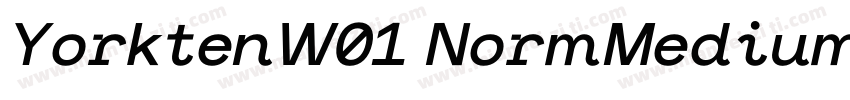 YorktenW01 NormMediumItalic Regular字体转换